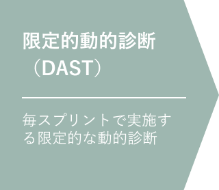 限定的動的診断 （DAST）